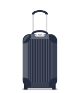 Small Suitcase Image